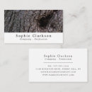Recherche de oliviers cartes visite Pour tous
