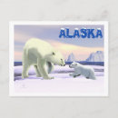 Recherche de ours maman cartes postales Animaux