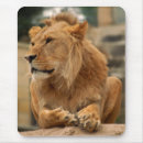 Recherche de tête lion tapis souris Faune
