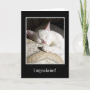 Recherche de adoption chat vœux cartes Adopter