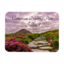 Recherche de irlandais magnets Irlande