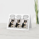 Recherche de tuxedo cat Drôle