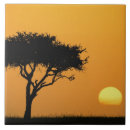 Recherche de acacia carreaux Simple