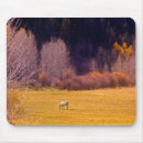 Recherche de cheval tapis souris Fleurs