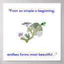 Recherche de évolution posters Vie