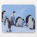 Recherche de manchot tapis souris Neige