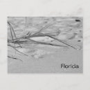 Recherche de noël de la floride cartes postales Sable