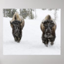 Recherche de congélation posters Hiver