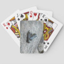 Recherche de grenouilles jeux de cartes Grenouille taureau