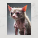 Recherche de chat idiot cartes postales Animal