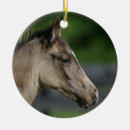 Recherche de cheval quart ornements Équestre