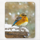 Recherche de bleu bleuet tapis souris Oiseau
