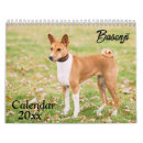 Recherche de basenjis Pour tous