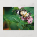 Recherche de leopard cartes postales Papillon