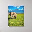 Recherche de massai art Paysage