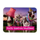 Recherche de humor magnete Party