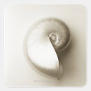 Recherche de nautilus autocollants Animal