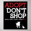 Recherche de espion d art Animaux domestiques