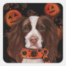 Recherche de springer anglais autocollants Halloween