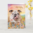 Recherche de chien bouledogue vœux cartes Animaux de compagnie