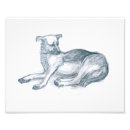 Recherche de contour noir posters Dessin