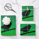 Recherche de moineau papier cadeau Oiseau
