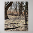 Recherche de cerf posters Pour tous