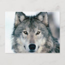 Recherche de sympas cartes postales Voyage