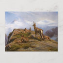 Recherche de rosas cartes postales Pour tous