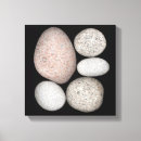 Recherche de objet naturel art Géologie