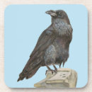Recherche de corvid dessous de verres Oiseau