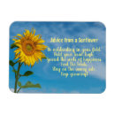 Recherche de sunflower magnets Yellow