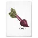 Recherche de légumes de cuisine posters Betterave