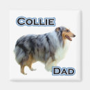 Recherche de colley magnets Sable