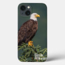 Recherche de ornithologie électronique Aigle