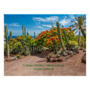 Recherche de les îles canaries posters Fuerteventura