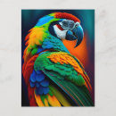Recherche de peinture de perroquet cartes postales Amoureux des oiseaux