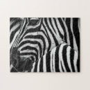 Recherche de zèbre puzzles Africaine