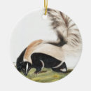 Recherche de zoologie ornements Faune