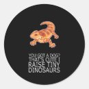 Recherche de dragon barbu autocollants Gecko