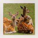 Recherche de alerte photographie Faune