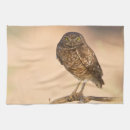 Recherche de rapace cuisine linges Faune