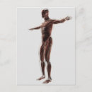 Recherche de système musculaire cartes postales Illustration