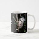 Recherche de opossum tasses Nature