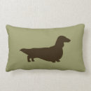 Recherche de teckels coussins Chien