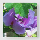Recherche de purple flower posters Flora