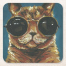 Recherche de felins bar Chaton