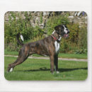 Recherche de plomb tapis souris Chien