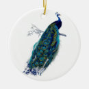 Recherche de paon bleu ornements Nature