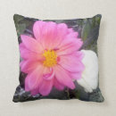 Recherche de marchandises photographie Nature